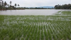 Maltempo, piogge al Sud sono “linfa” per riserve idriche a secco. Occorre gestione virtuosa del territorio per bombe d’acqua anche 120 millimetri in poche ore.